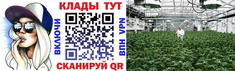 Купить Гашиш  Конопля  Мефедрон  Ижевск