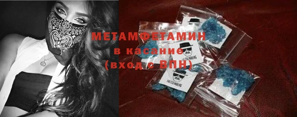 индика Лабытнанги