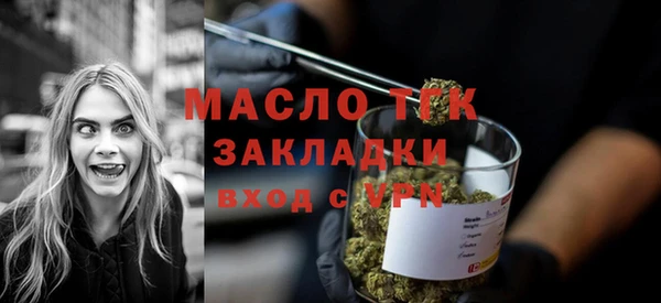 индика Лабытнанги