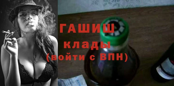 индика Лабытнанги