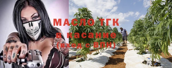 индика Лабытнанги