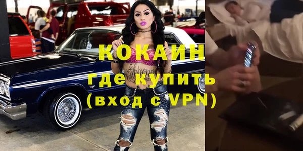 индика Лабытнанги