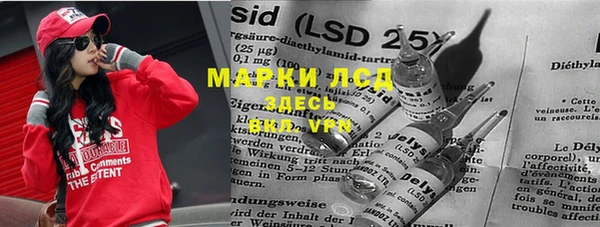 индика Лабытнанги