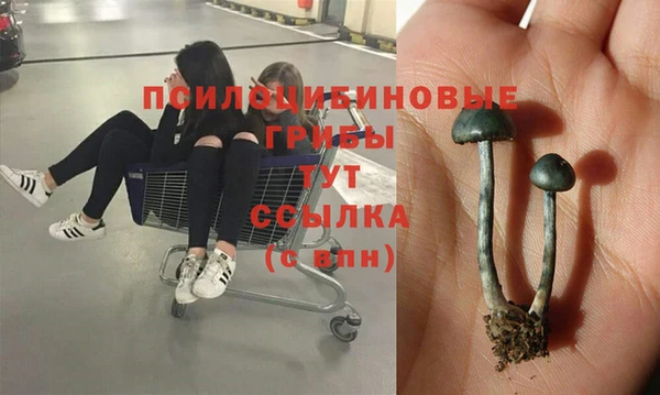 MDMA Premium VHQ Ладушкин