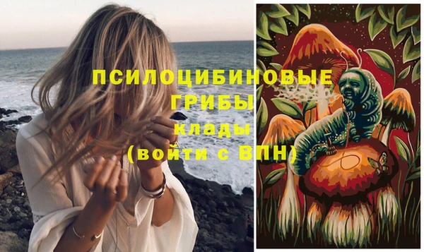 индика Лабытнанги