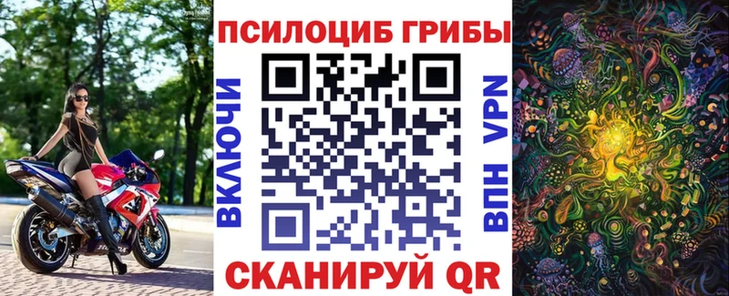Галлюциногенные грибы Magic Shrooms  Купить  Ижевск 